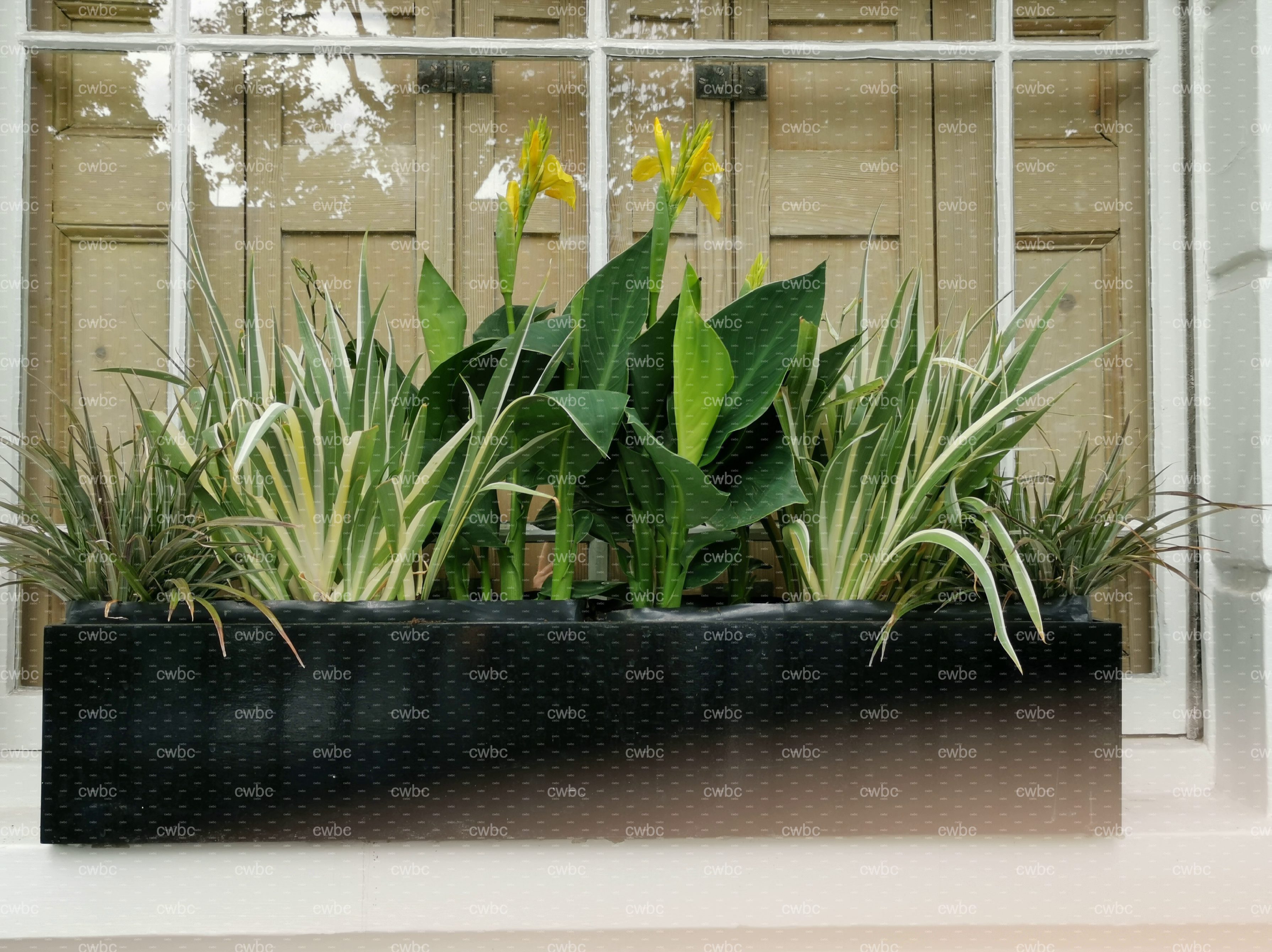 placeholder image-sq