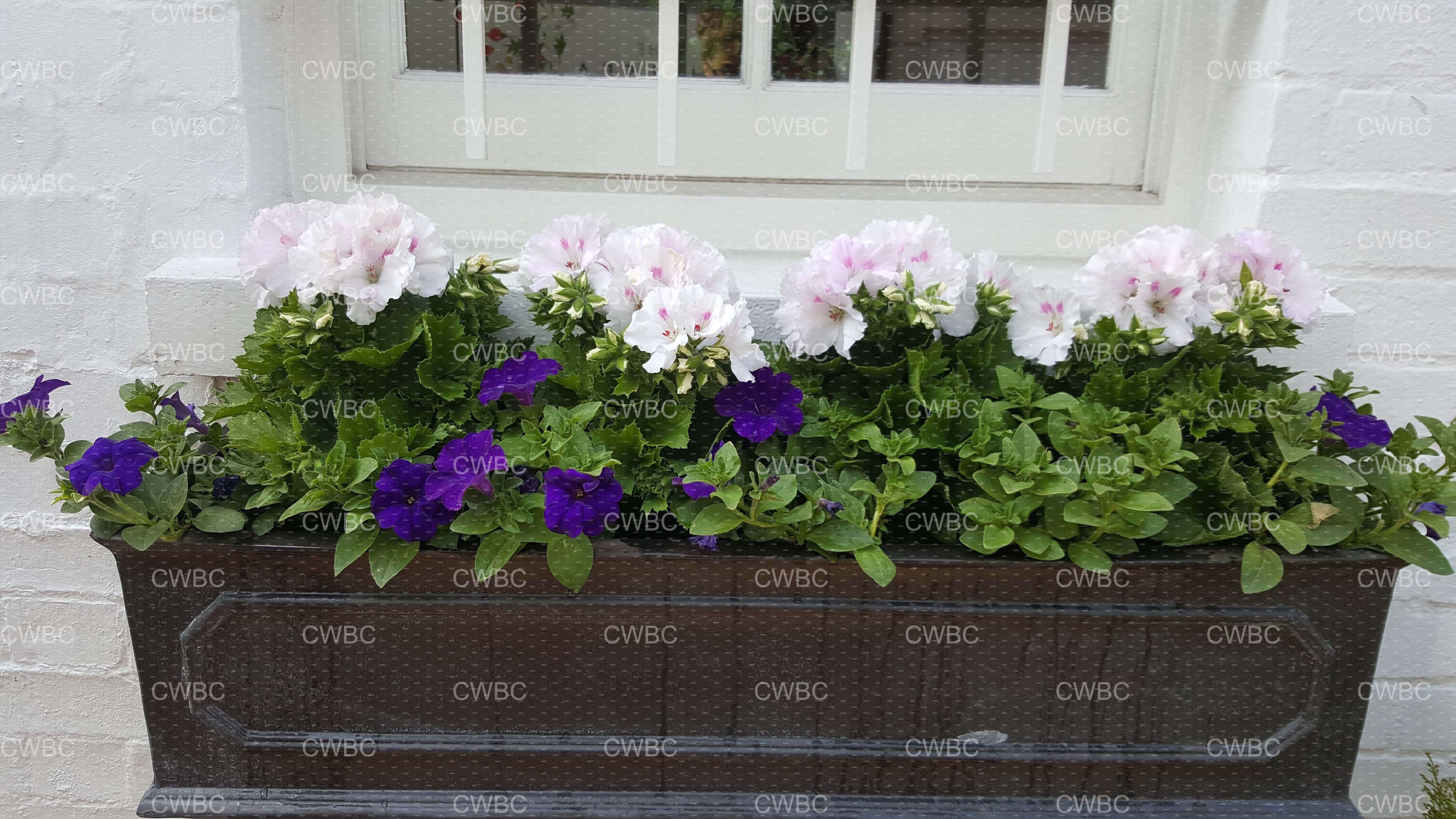 placeholder image-sq