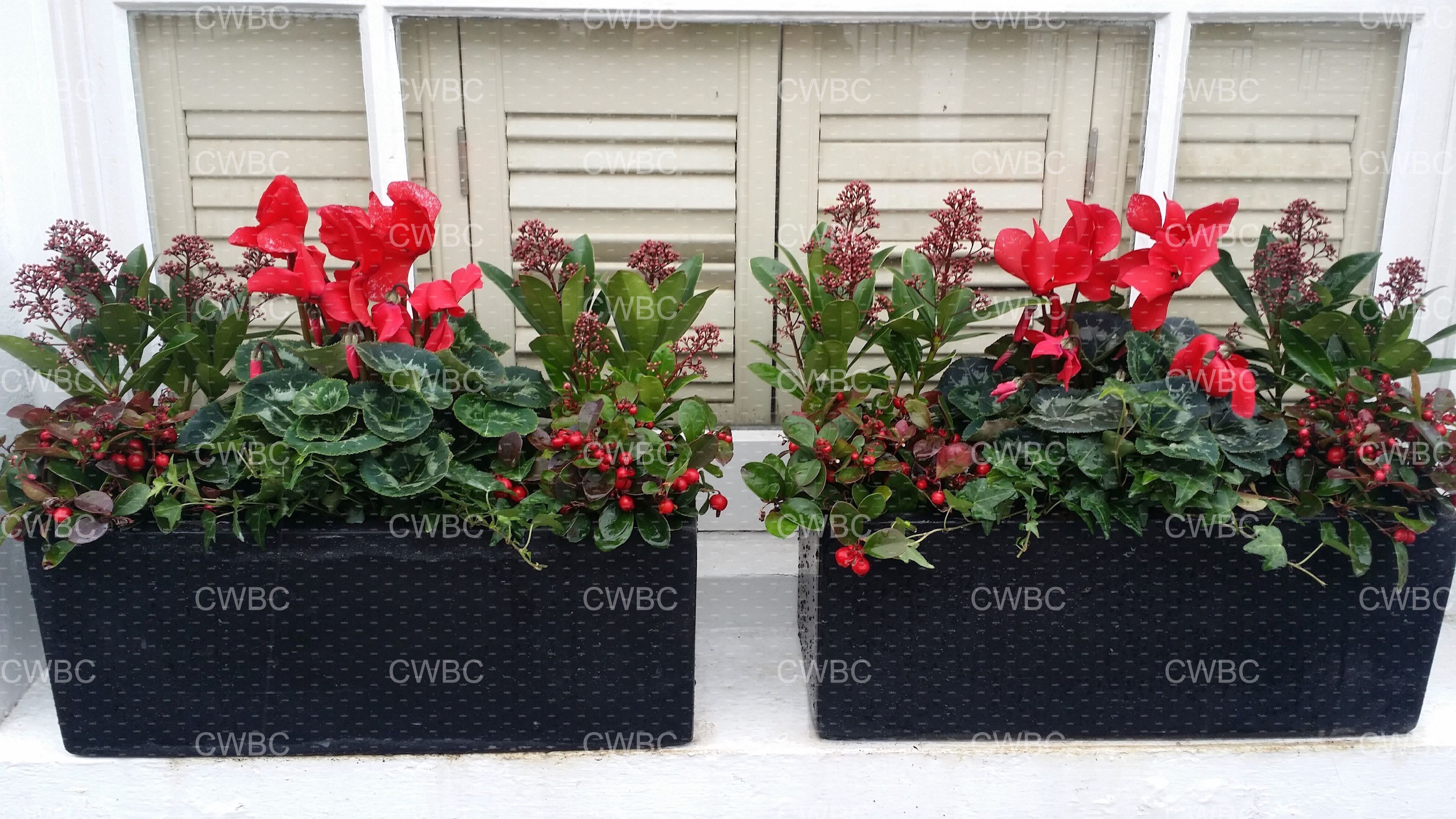 placeholder image-sq