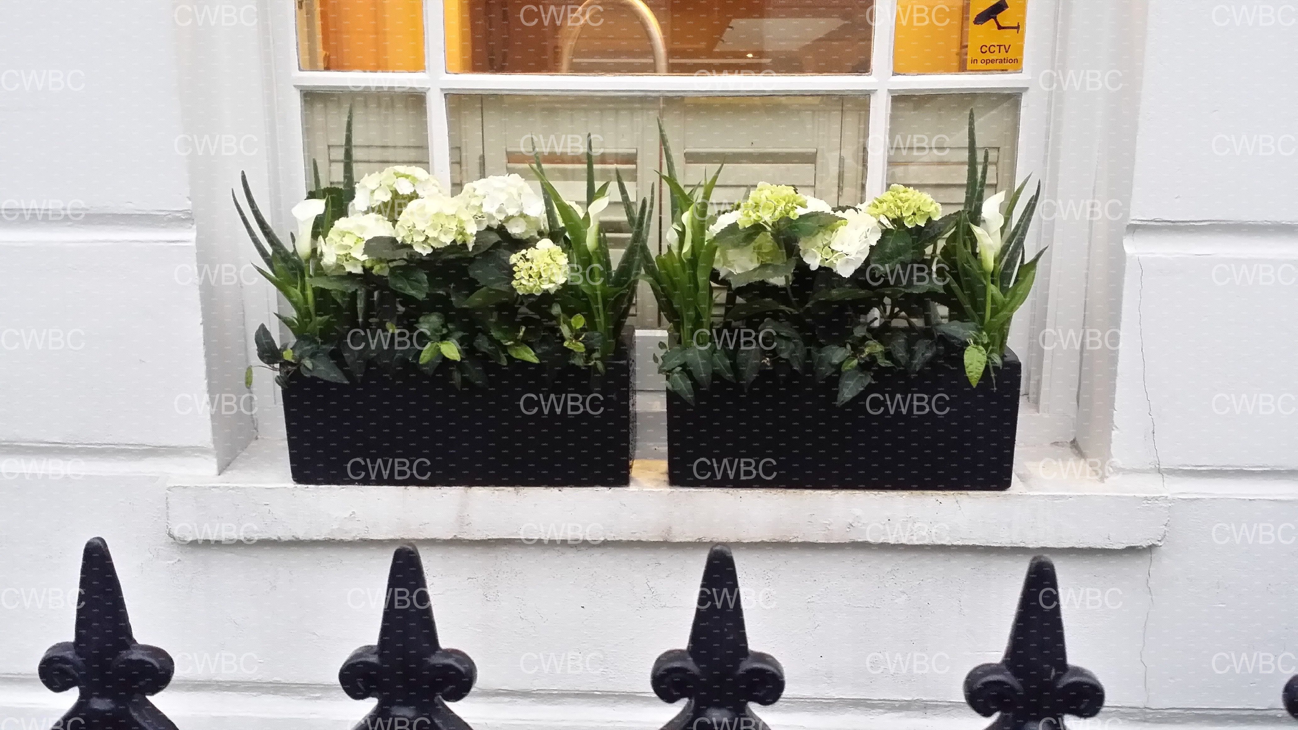 placeholder image-sq