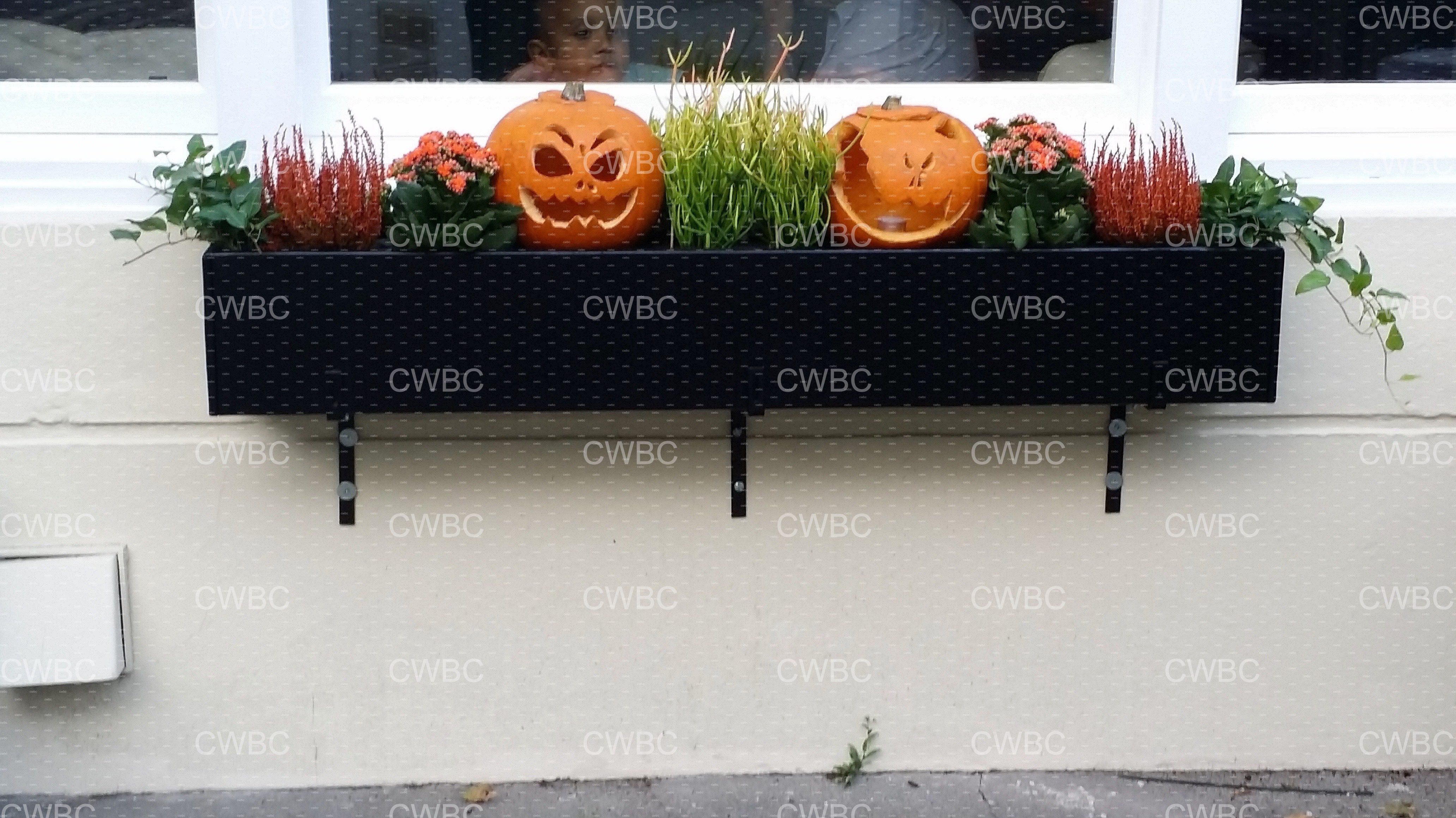 placeholder image-sq