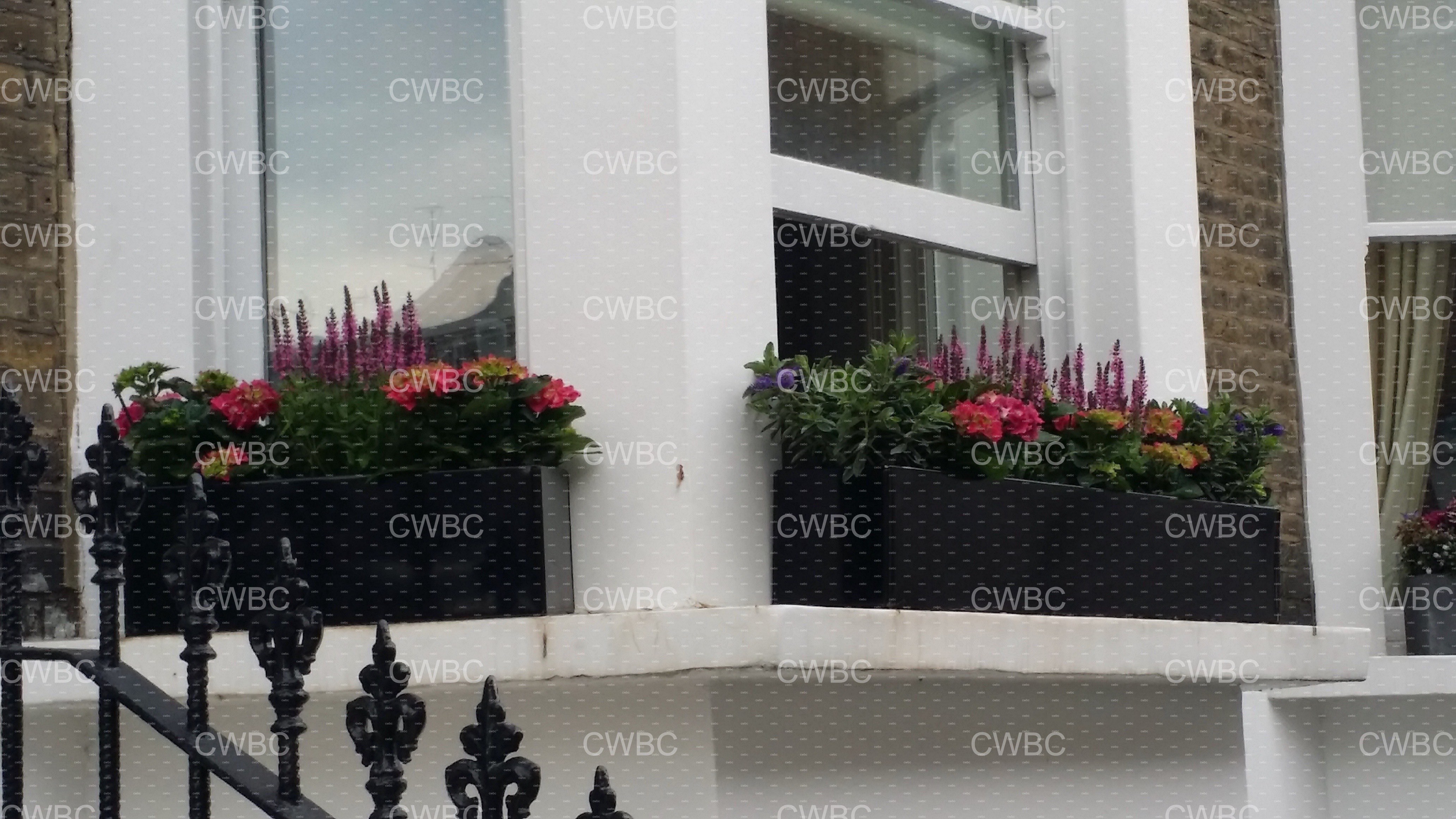 placeholder image-sq