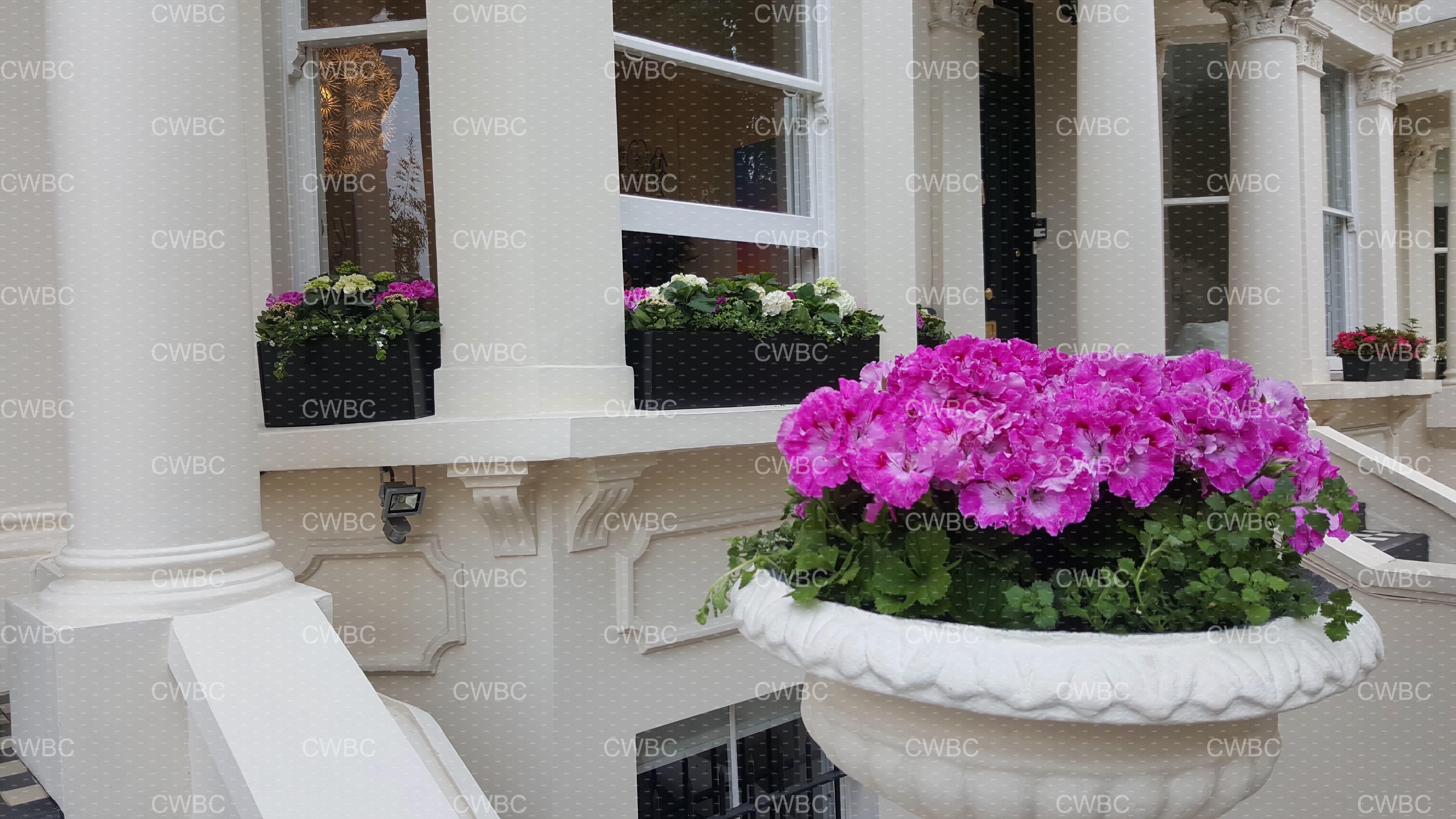 placeholder image-sq