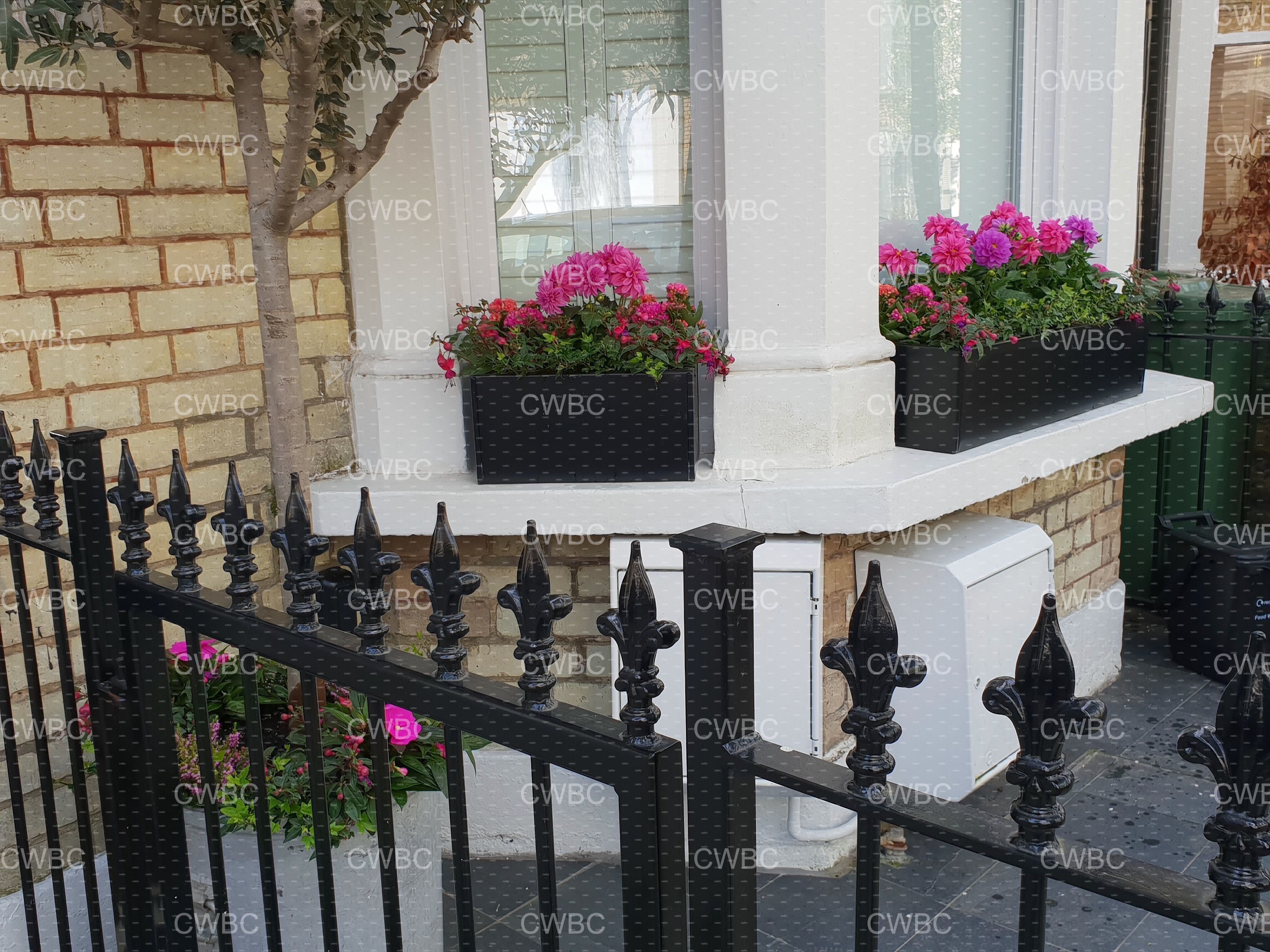 placeholder image-sq