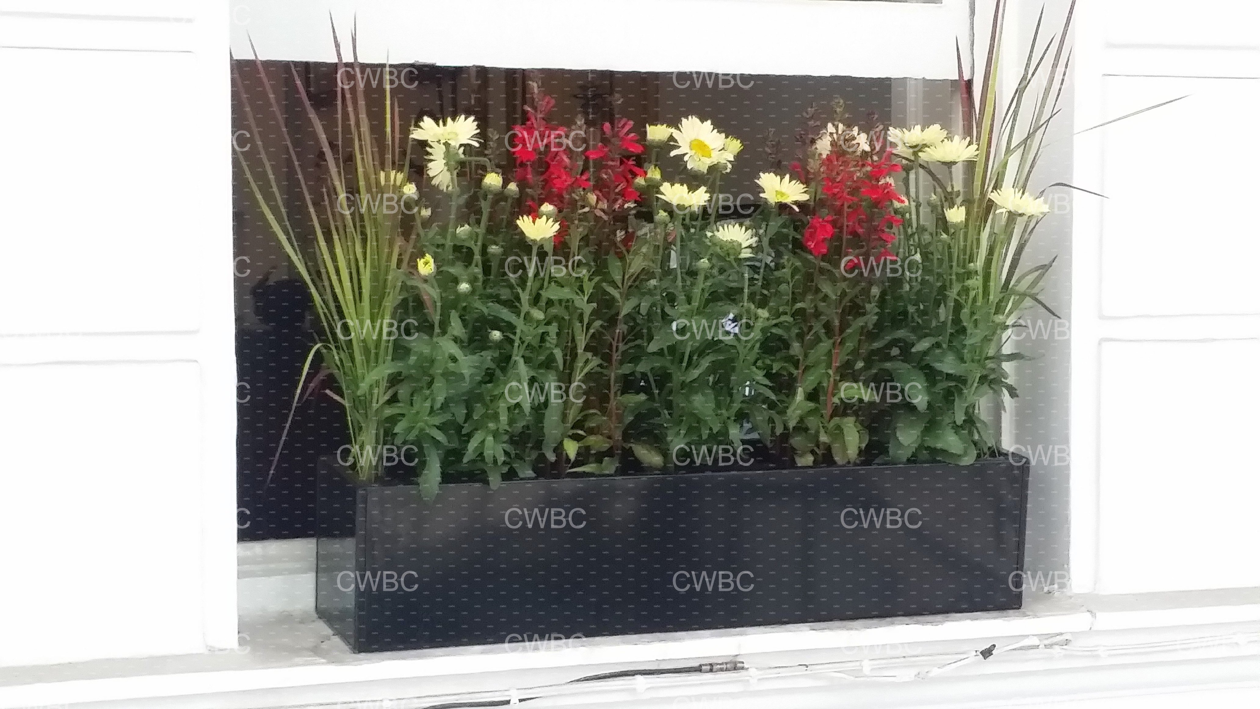 placeholder image-sq