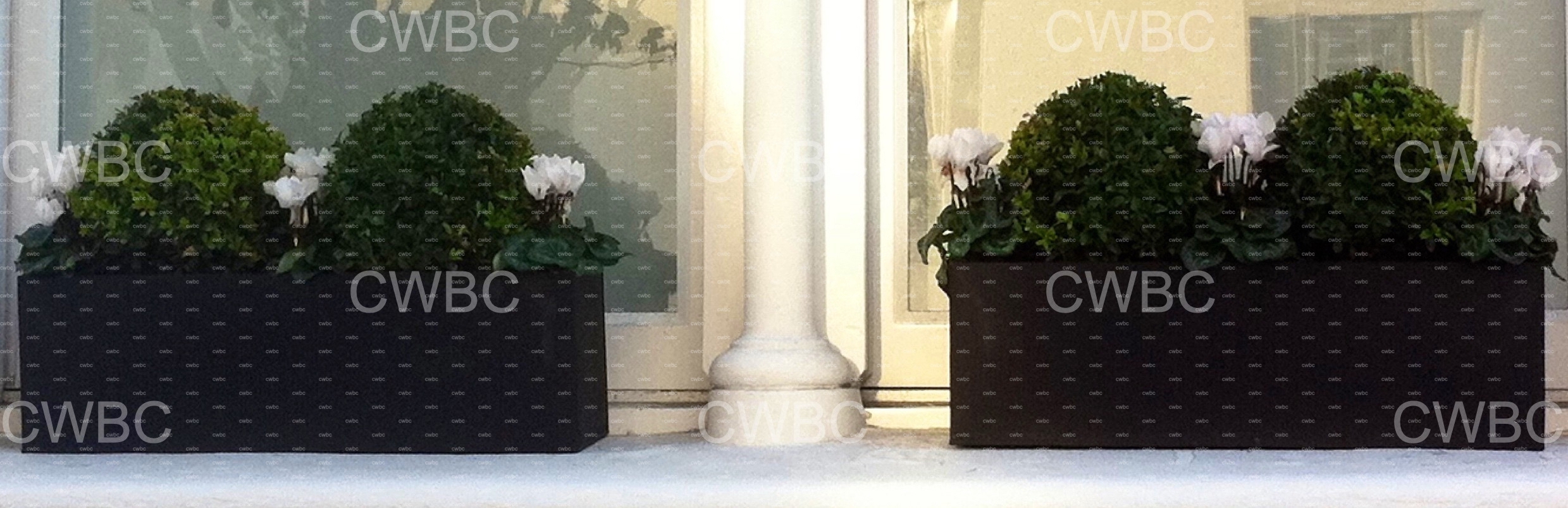 placeholder image-sq