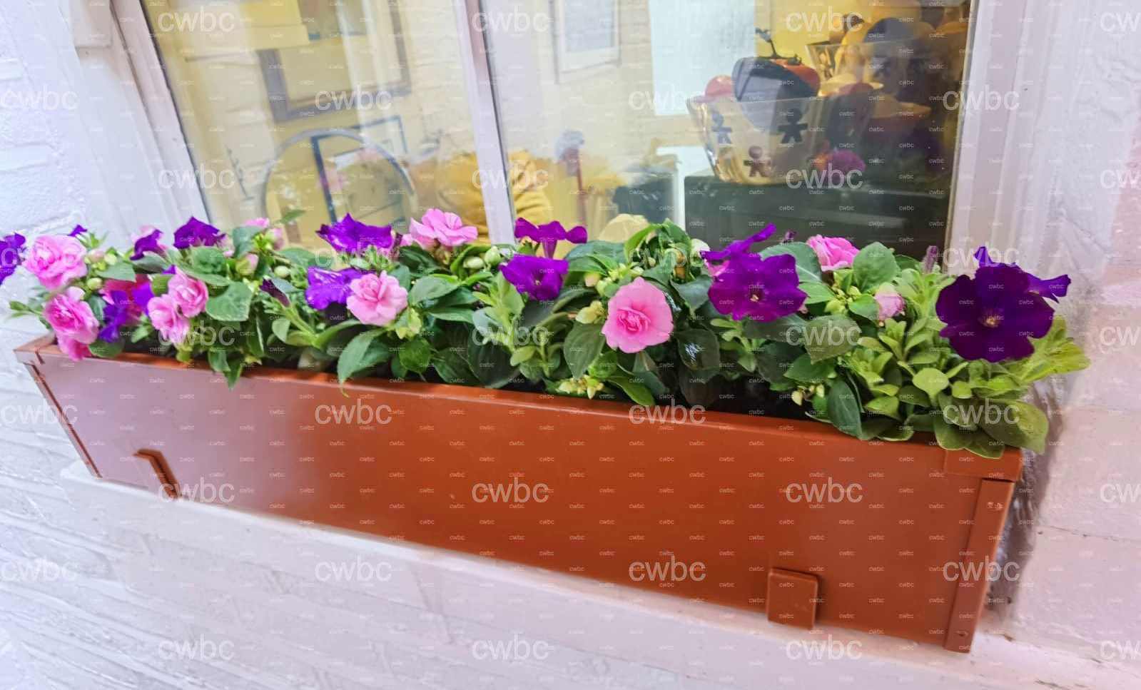 placeholder image-sq