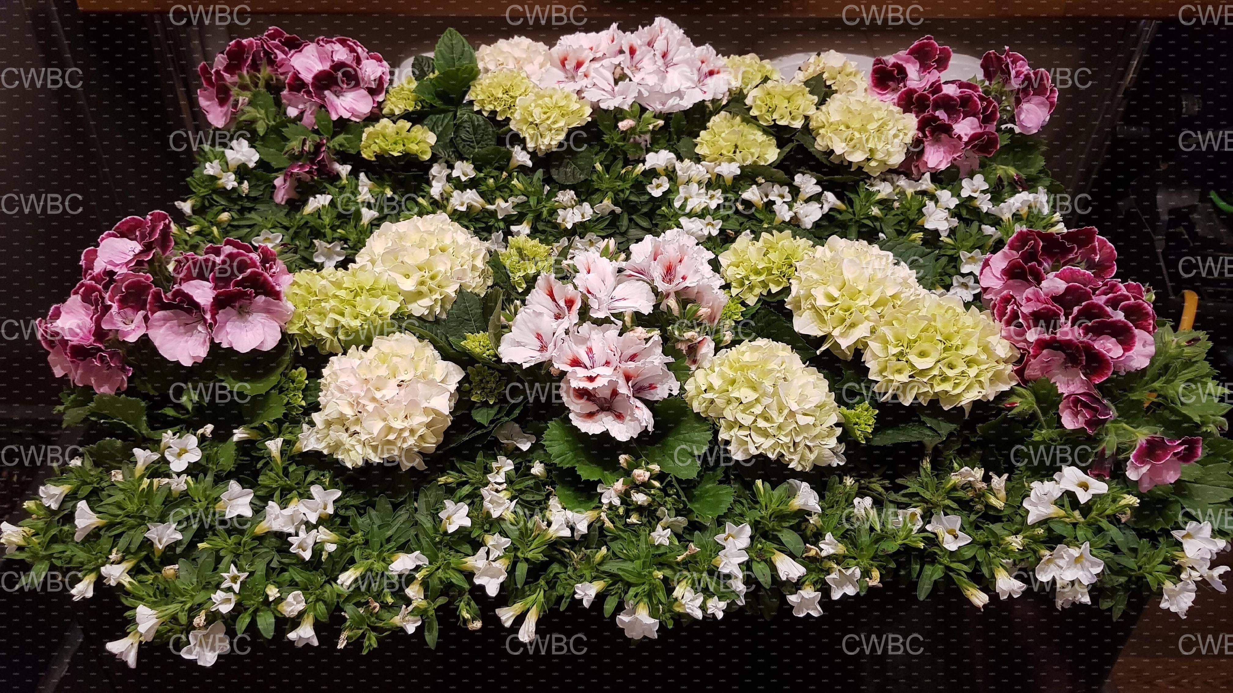 placeholder image-sq