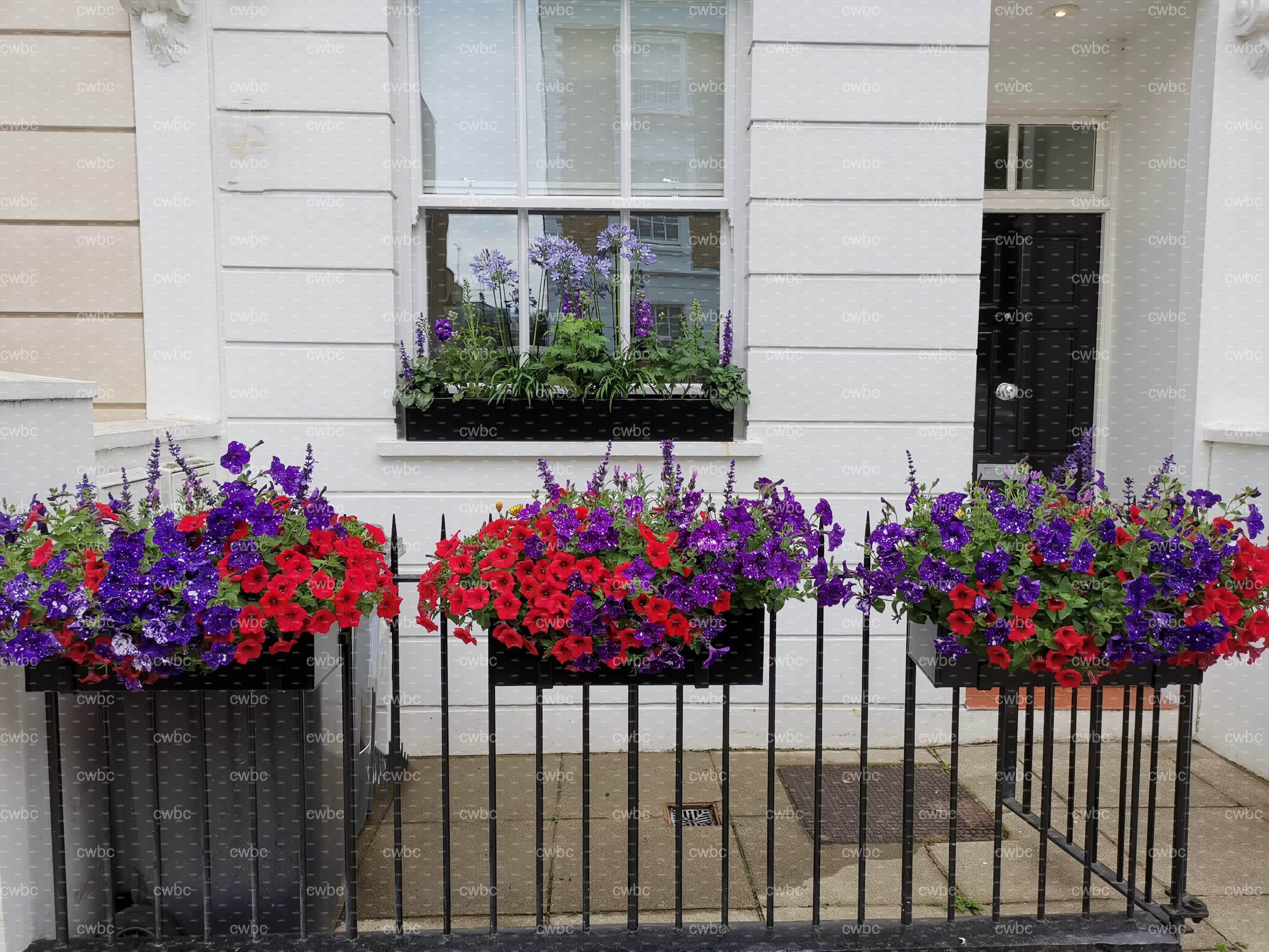 placeholder image-sq