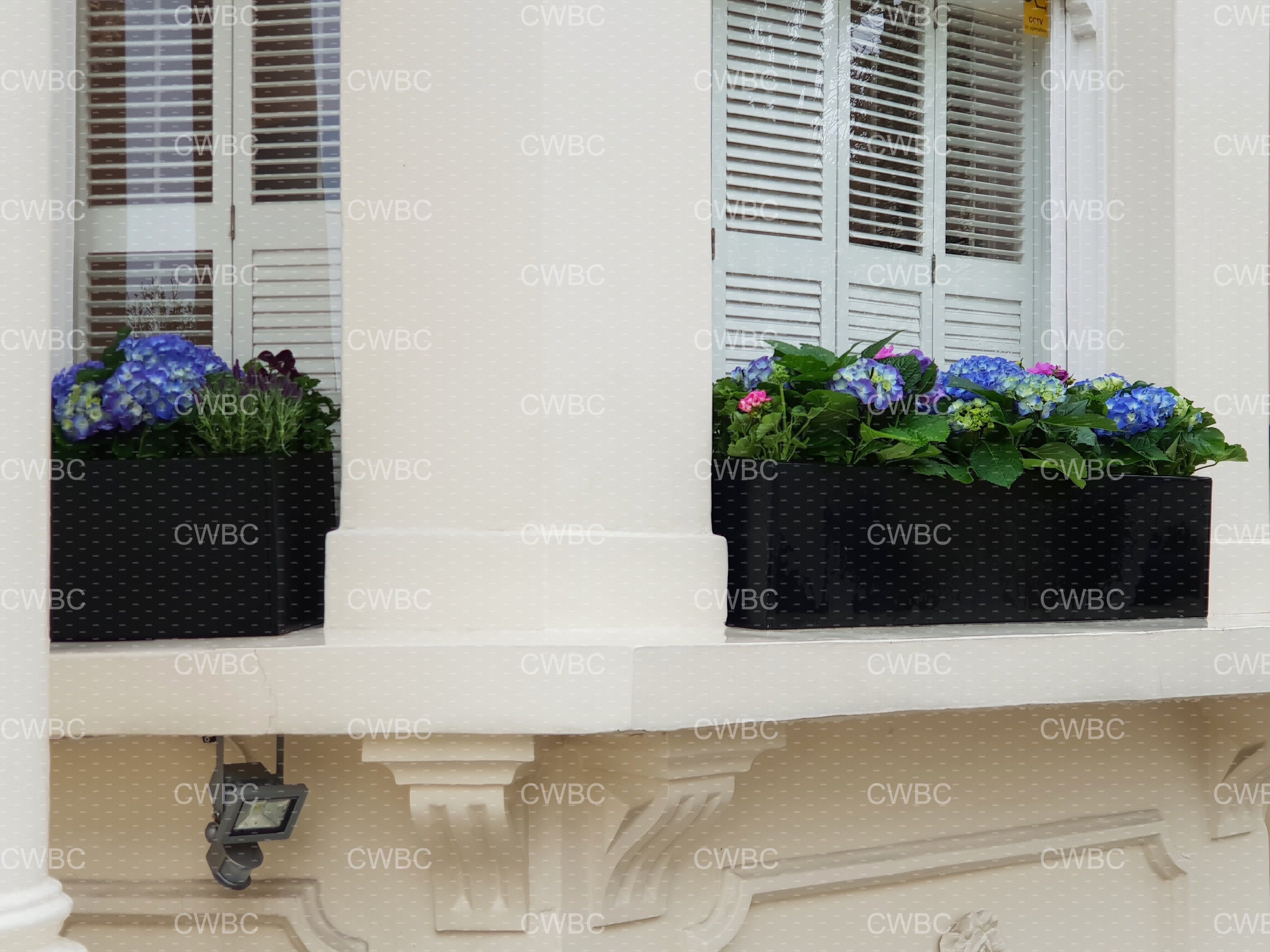 placeholder image-sq