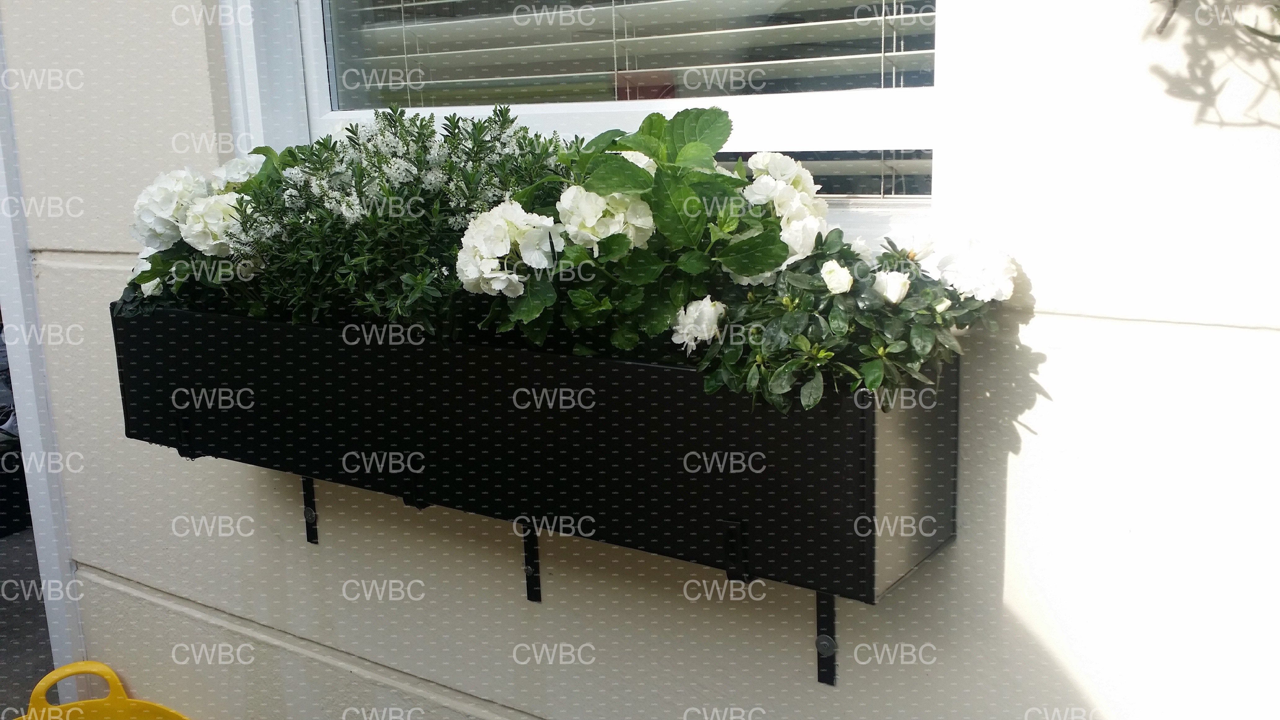 placeholder image-sq