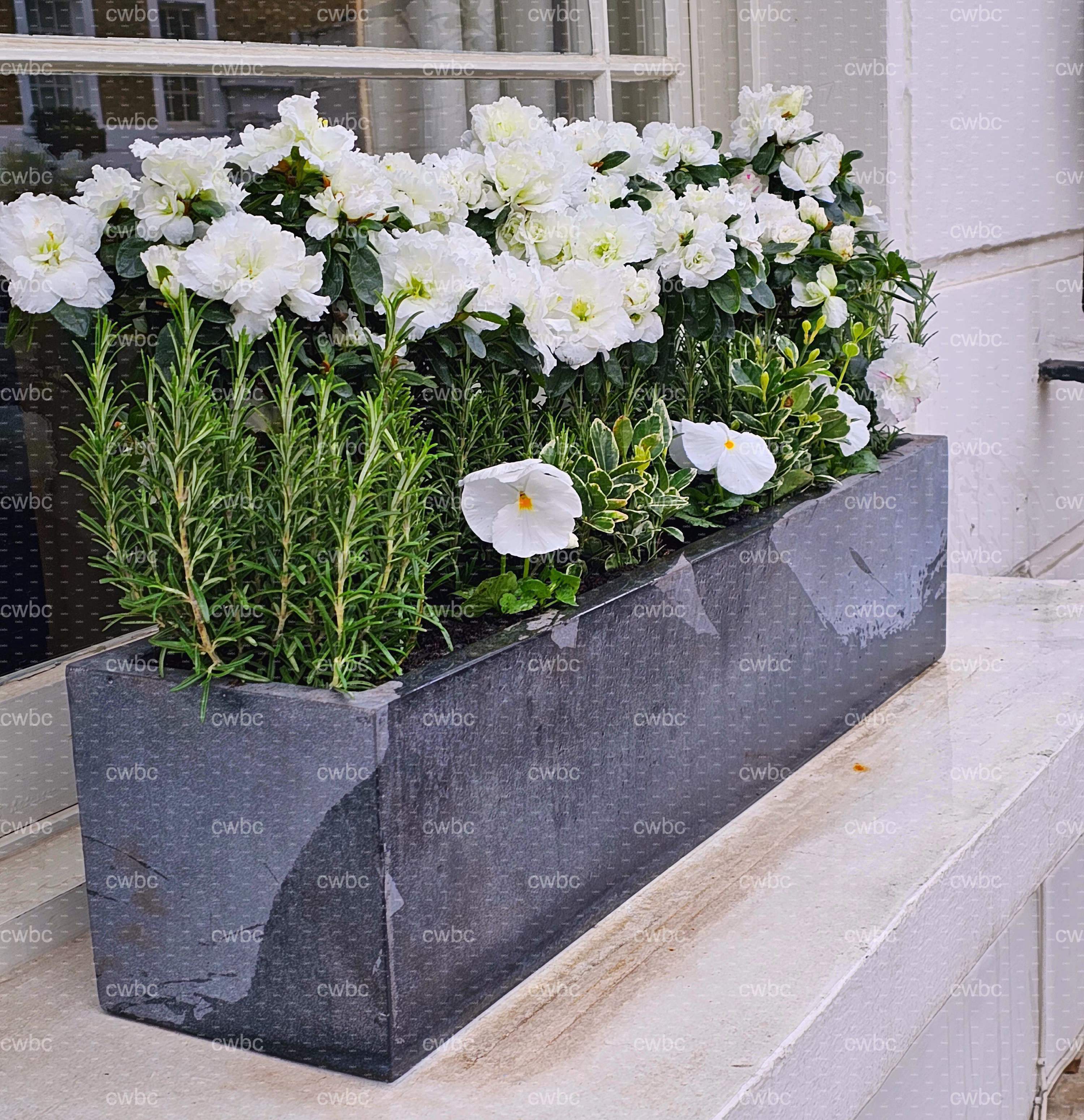 placeholder image-sq