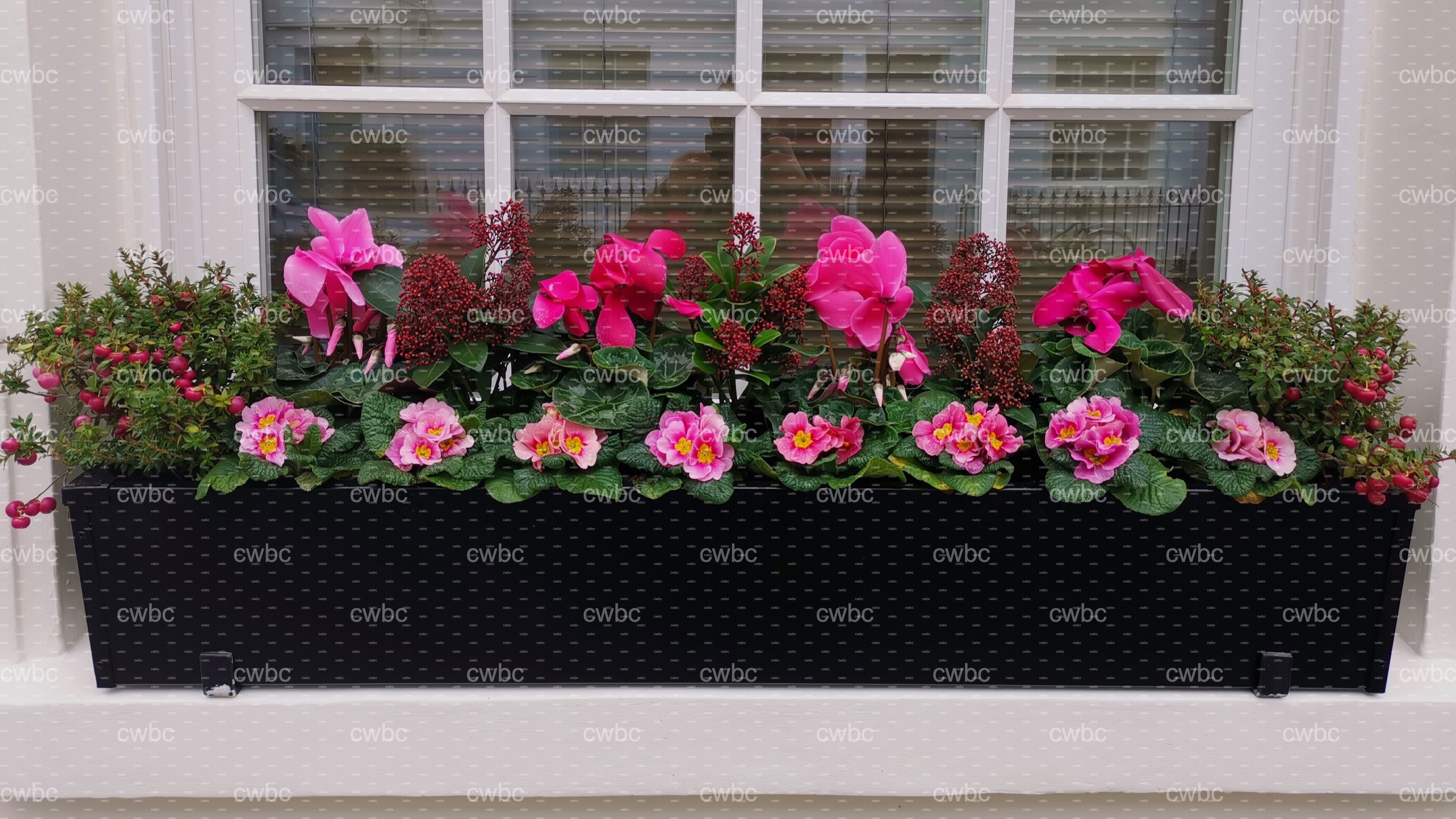 placeholder image-sq