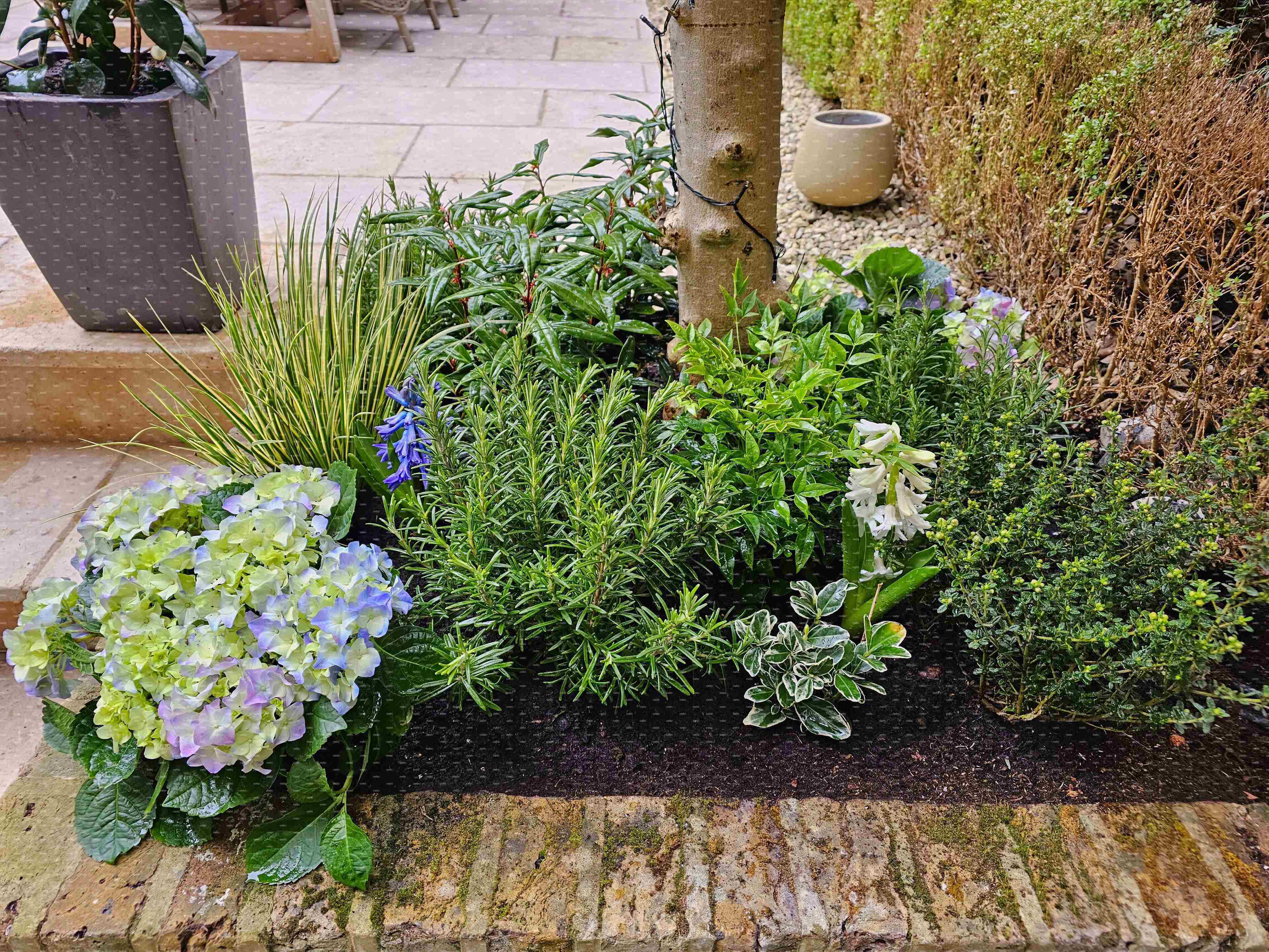 placeholder image-sq