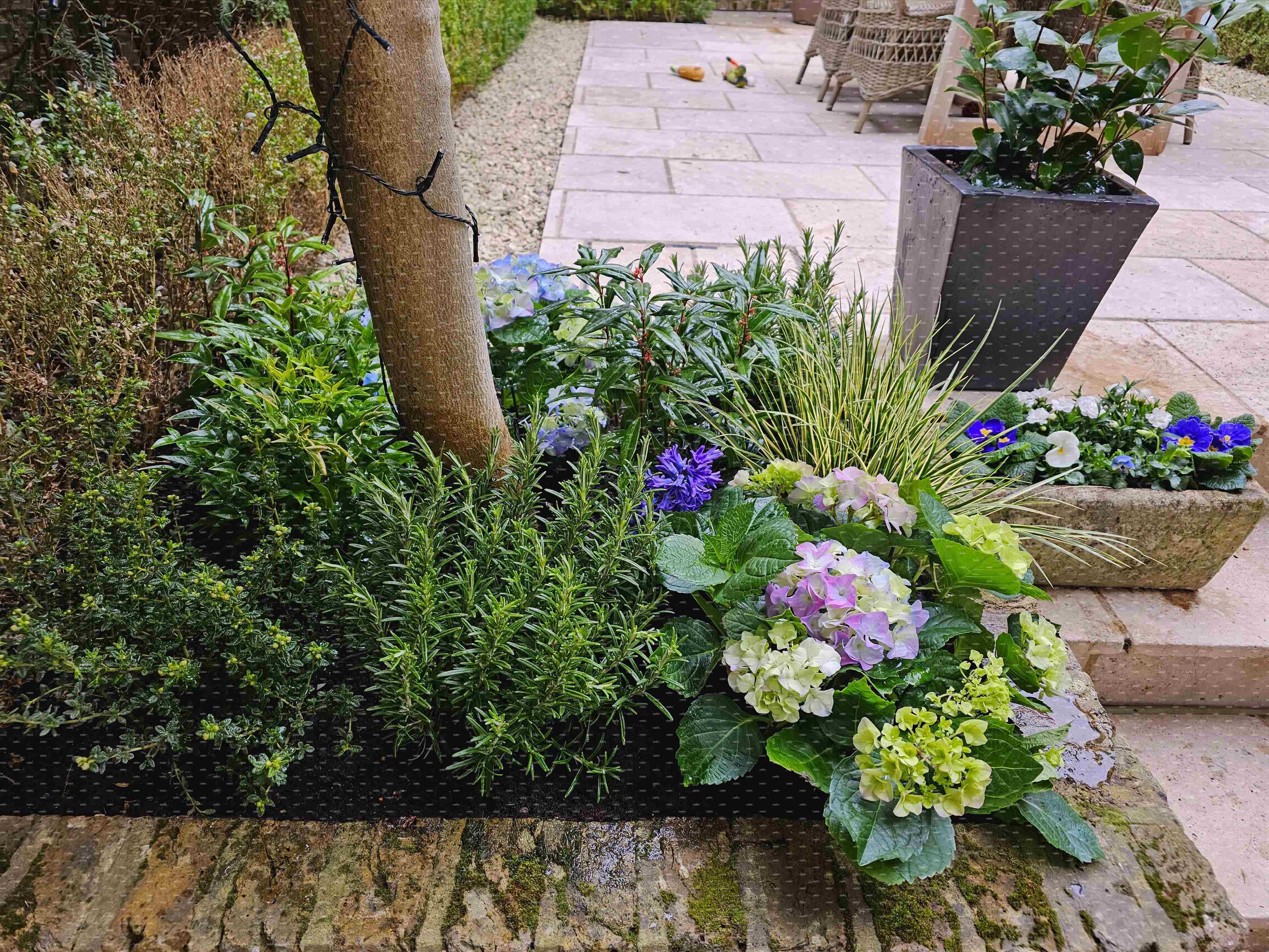 placeholder image-sq